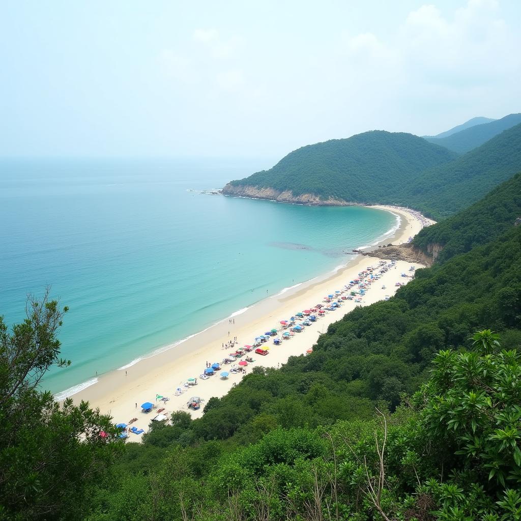 ve-dep-hoang-so-cua-bien-hai-thanh-thanh-hoa-trong-lanh