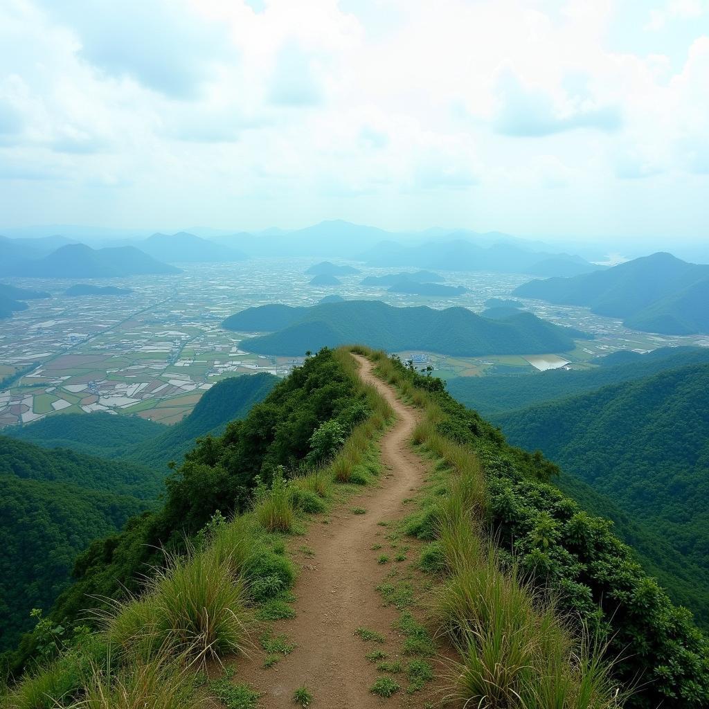 View triệu đô từ đỉnh Núi Trường Sinh Thanh Hóa, bao quát toàn cảnh thiên nhiên hùng vĩ